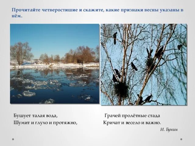 Бушует полая вода. Бушует полая вода шумит и глухо и протяжно. Бунин бушует Талая вода. Стих Бунина бушует полая вода.