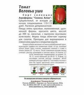 Томат воловьи уши