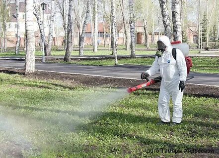 Дезинфекция от клещей