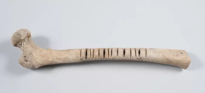 Bone tool
