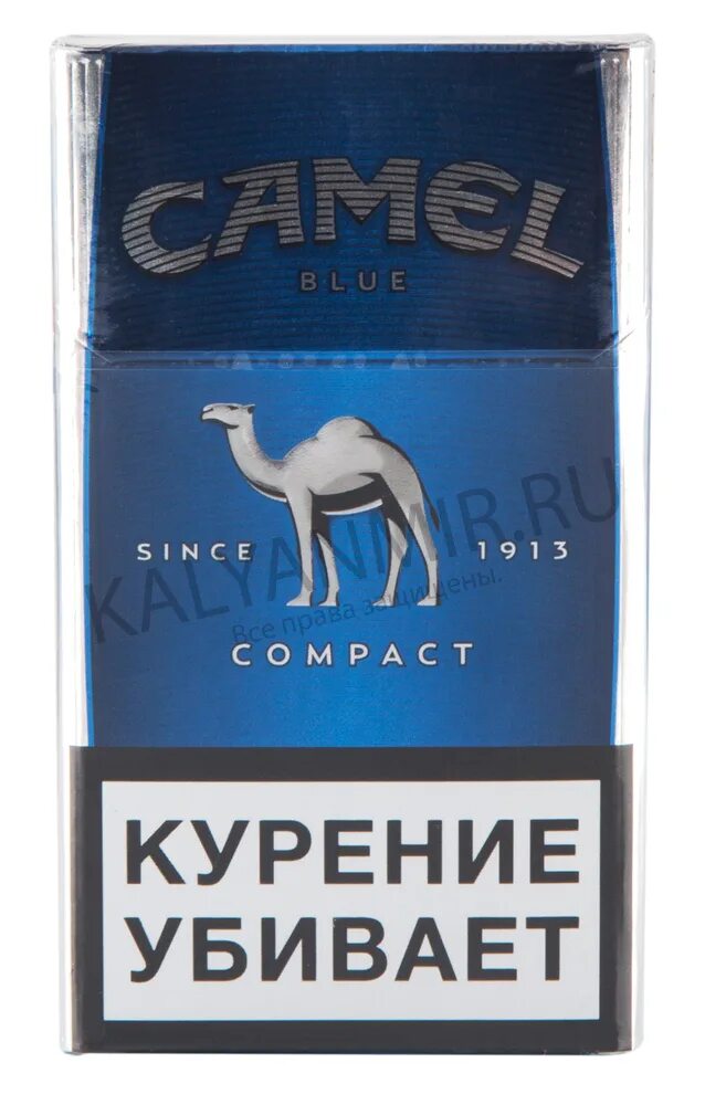 Сигареты Camel Compact Blue. Camel сигареты синие компакт. Сигареты Camel Compact 100. Cигареты с фильтром "Camel Compact". Кемал компакт