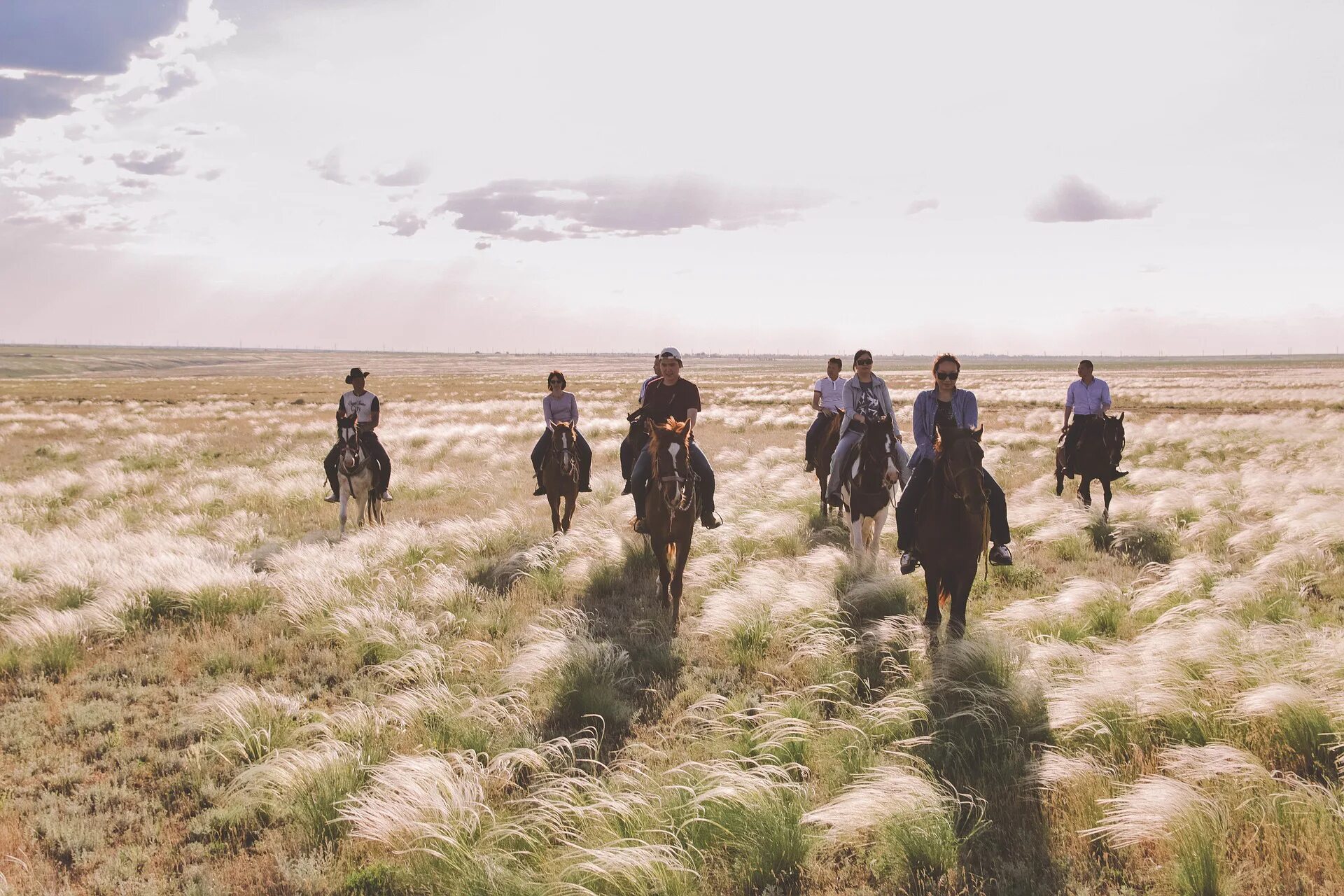 Кибитки калмыков в степи. Кочевое скотоводство калмыков. Калмыкские воины 17 век. Калмыки кочуют. Степь калмыкия с кибиткой.