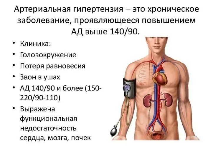 Артериальная гипертензия симптомы симптомы. Гипертоническая симптомы гипертоническая болезнь. Артериальная гипертензия при гипертонической болезни. Гипертоническая болезнь клиника.