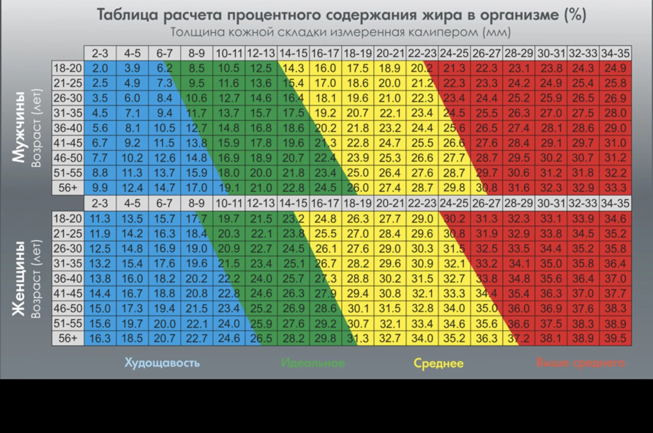 Измерение процента жира калипером таблица. Калипер для измерения подкожного жира таблица. Таблица толщины жировой складки. Таблица процентного соотношения жира.