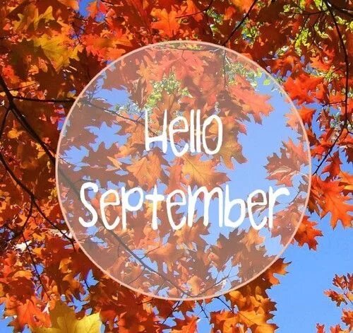 Свободные окошки осень. Hello autumn September. Сентябрь осень 2022. Hello September картинки.