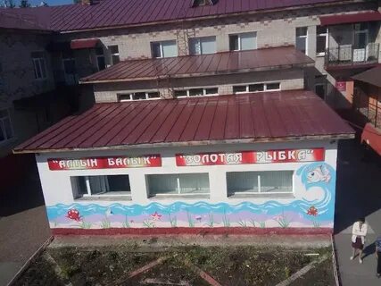 Золотая рыбка 31