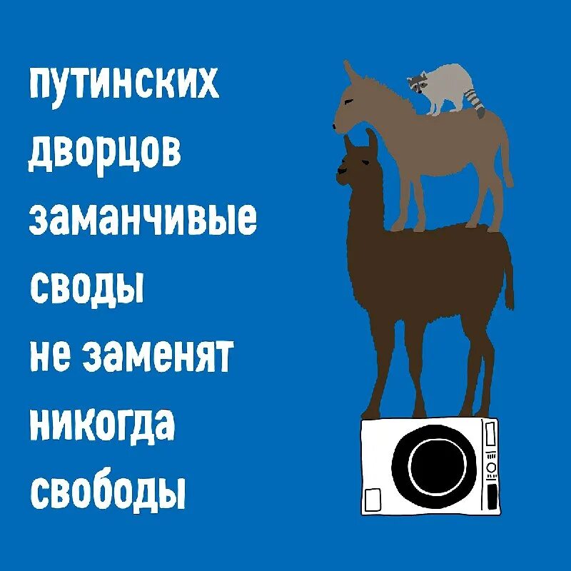 заманчивые своды не заменят никогда свободы. русский язык 6 класс упражнение 437. заманчивые своды не заменят никогда свободы. нам дворцов заманчивые своды не заменят никогда свободы текст. заманчивые своды не заменят никогда свободы.