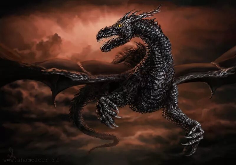 Дракон арт. Как называется черный дракон. Гебридский чёрный дракон. Как называется черный дракон. Кируэло кабрал дракон.