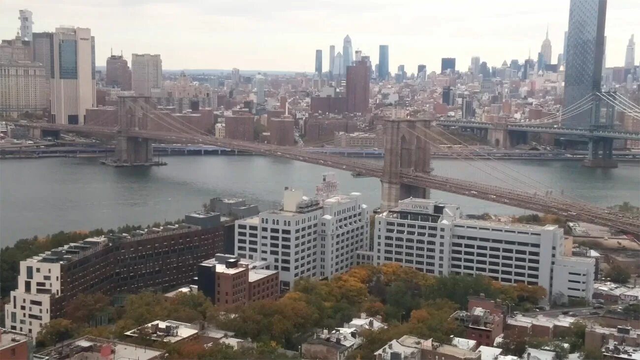 Веб камеры нью йорка в реальном времени статуя свободы. Веб камера таймс сквер. Камеры пляжи online. Веб камера нью йорк. Веб камера сша флорида ки уэст улица и бар.