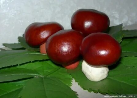 Грибы из каштанов поделки