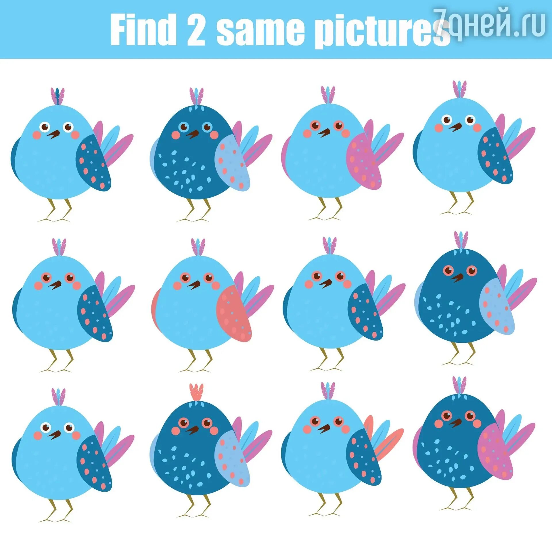 This is the same picture. Analogous pictures. it the same picture. this same pictures. its the same picture.