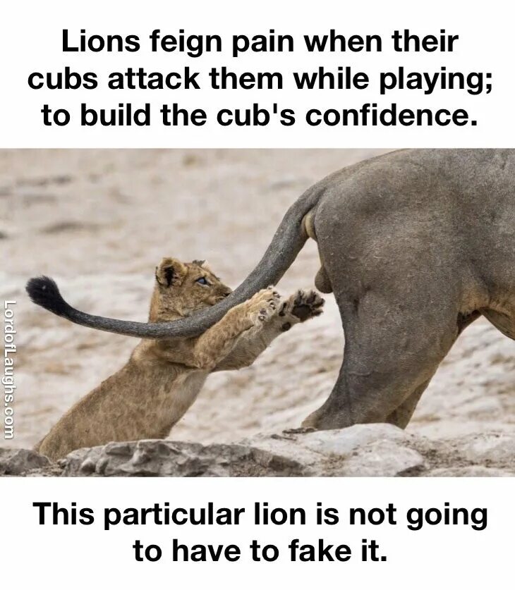 Открытка не балуй. Советский плакат не балуй. Советский плакат избаловали. Ты не балуй без меня не балуй. Плакаты говоркова.