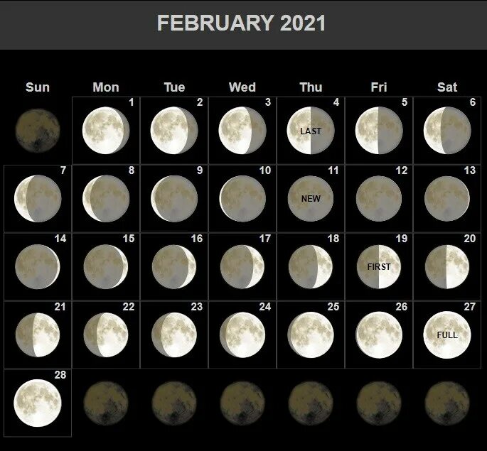 Фазы луны 2025 года. Moon phases 2025. moon phase calendar 2025. полнолуние 2025. новолуние и полнолуние в 2025.