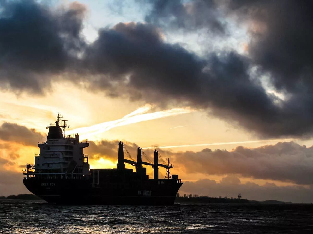 Современные грузовые корабли. Морской транспорт. Грузовой корабль. Судно в море. Судно sea.