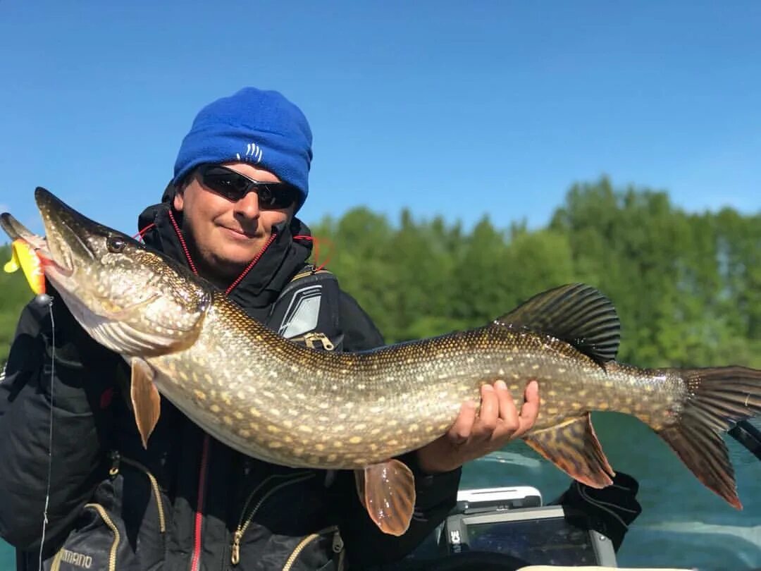 Рыболовная база «kzn Fishing» в Алексеевском районе. В Алексеевском районе есть сомы на реке Кама. Открыто бронирование на рыбалку. Кзн фишинг в контакте казань рыболовный клуб