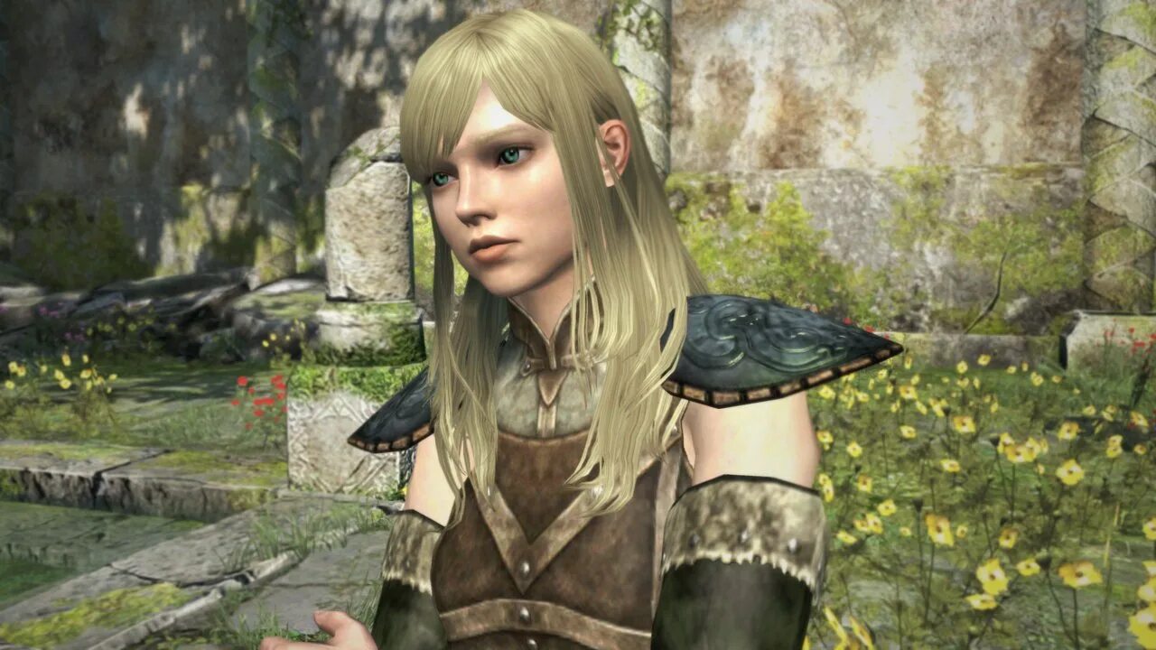 Dragons dogma 2 character creator