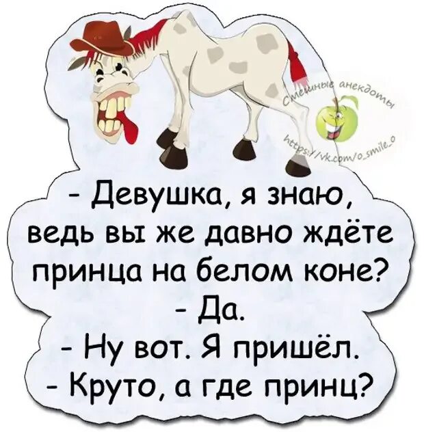 Анекдот про принца на белом коне. Принц на белом коне прикол. Где ты принц на белом коне. Пожелания принца на белом коне. Открывай мне дверь давно пришла я