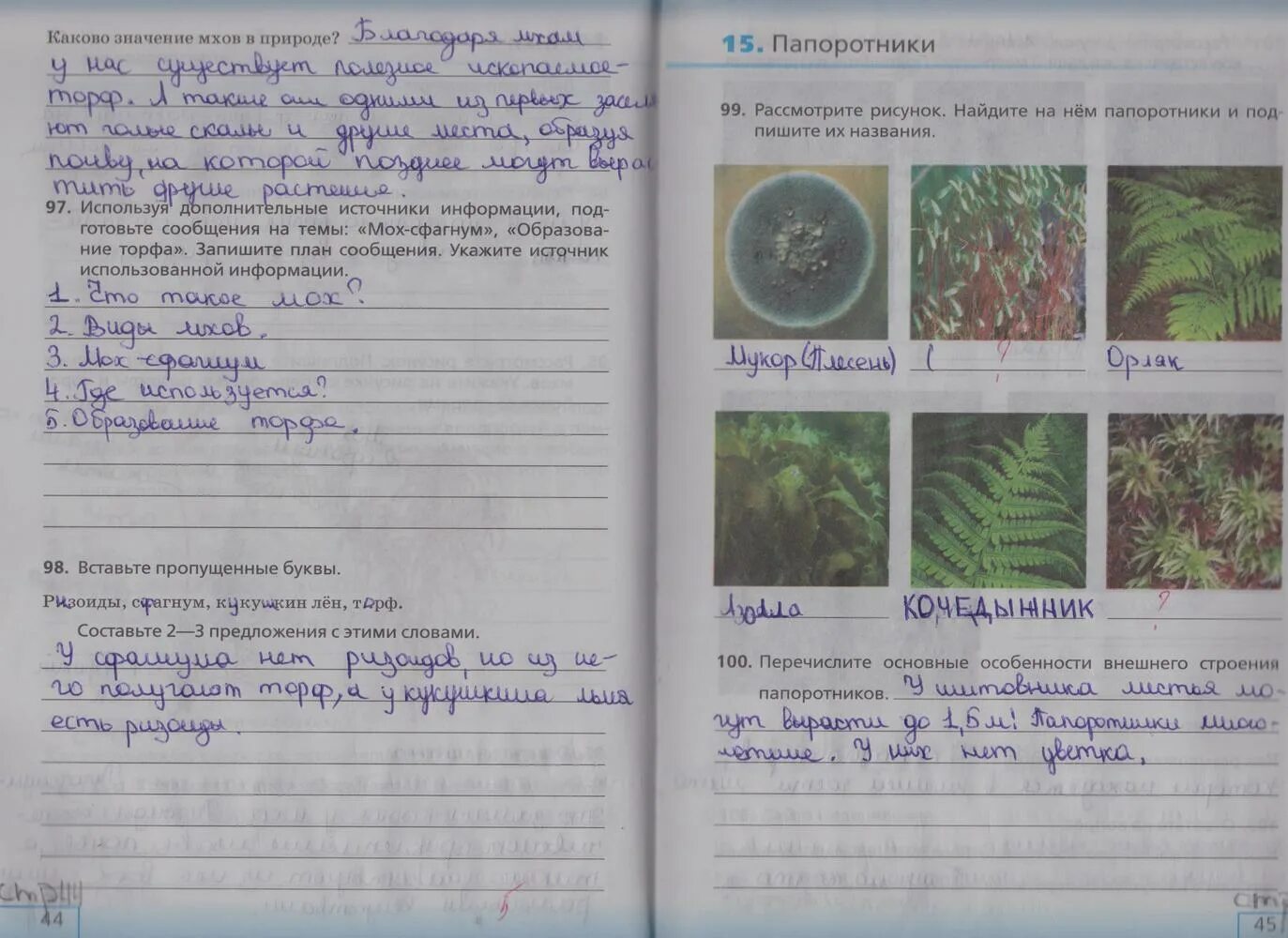 Биология рабочая тетрадь пятый класс страница 44. Биология 5 класс р т стр 46 Сонин. Биология 5 класс раб тетрадь стр 44. Гдз по биологии 5 класс Сонин рабочая тетрадь страница 44. Биология 5 класс стр 15 ответы