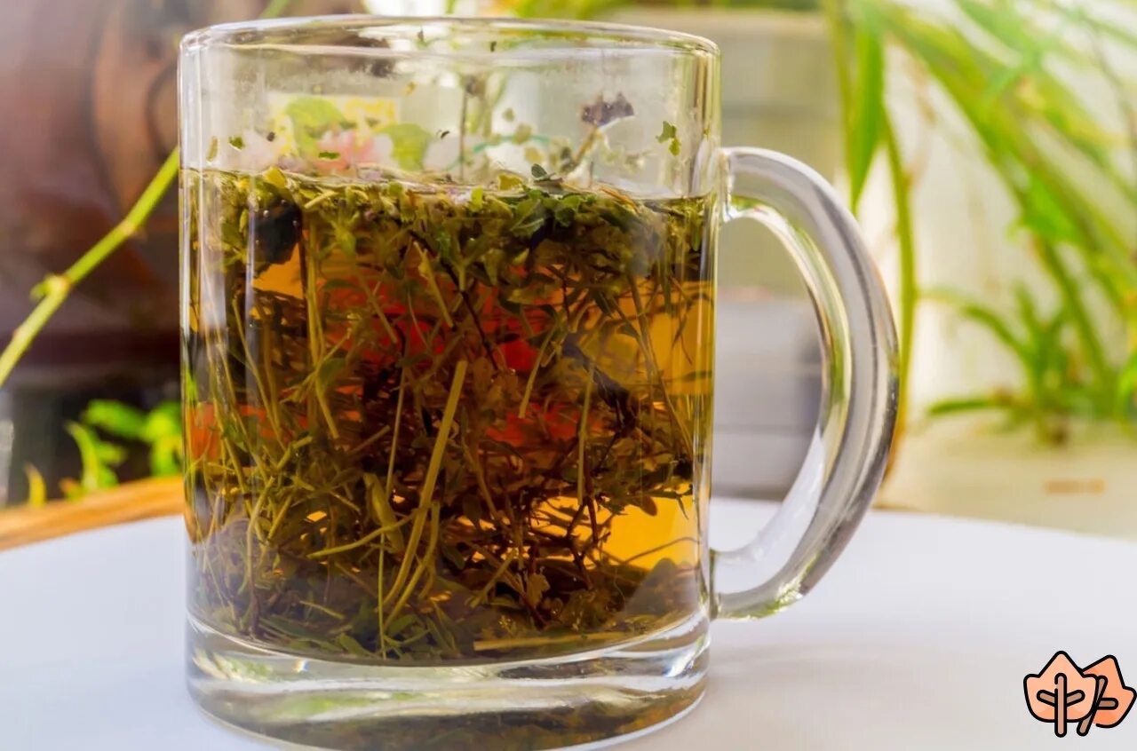 Растения для заварки. Травяной чай. Чай из трав. Отвар из трав. Настой из трав.