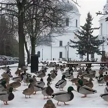 58 декабрь