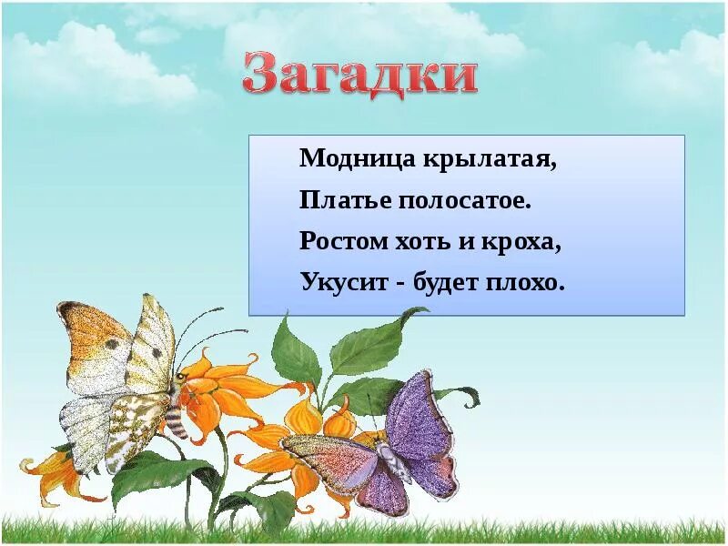 Летние загадки. Загадки на тему лето. Загадки на тему лето короткие. Маленькая загадка про лето. Презентация загадками с ответами