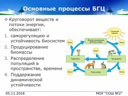 Какие процессы обеспечивают жизнь