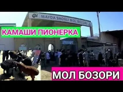 Пагода камаши 10