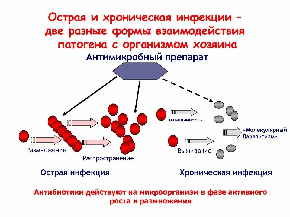 Группы антибиотиков механизм действия. Механизмы антимикробного действия химиотерапевтических средств. Механизм действия антимикробных химиотерапевтических средств схема. Химиотерапевтические средства антибиотики презентация. Кластер на тему антибиотики.