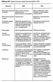 Таблица днк и рнк по биологии