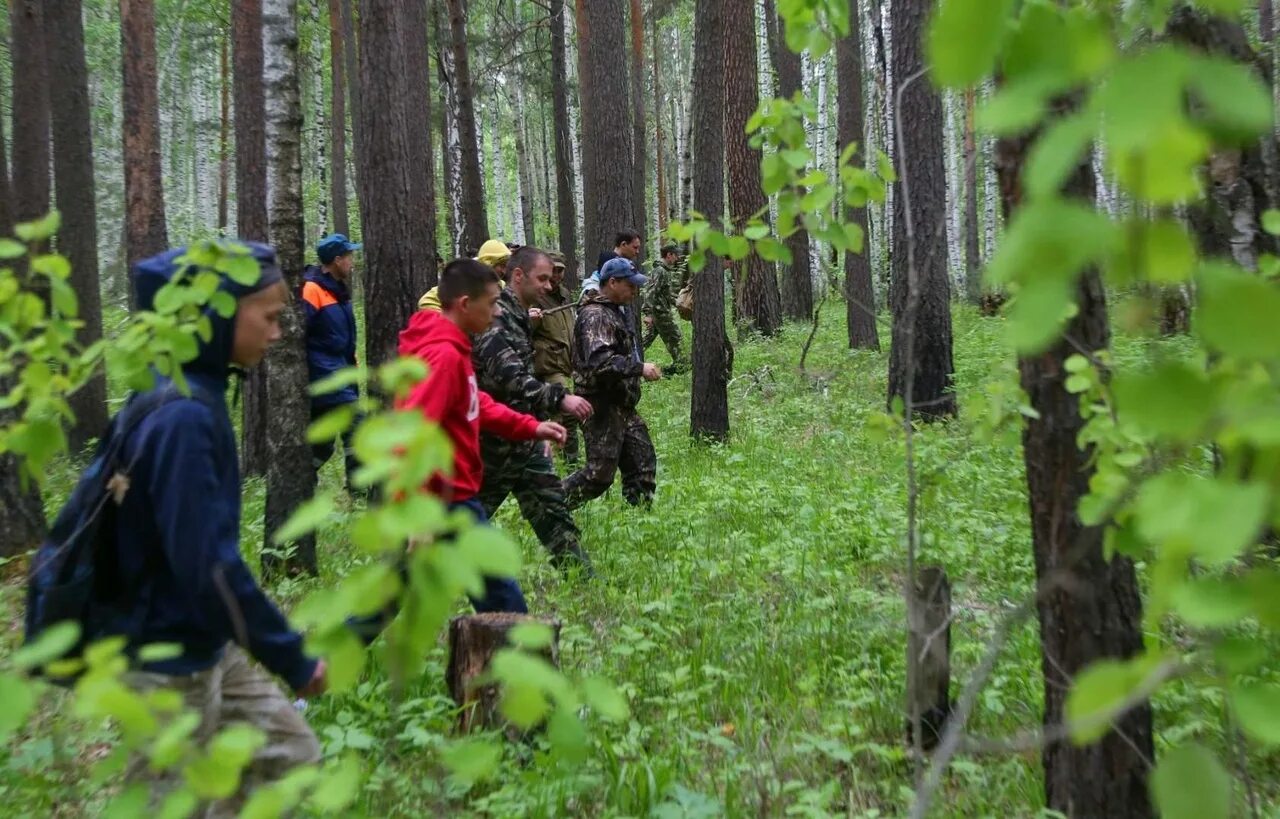 Искать людей в лесу