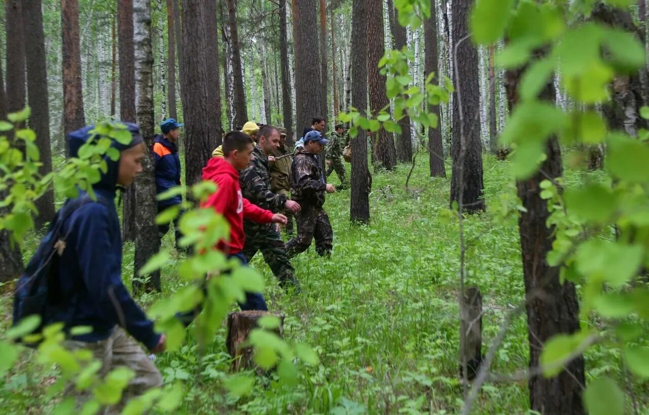 Поисковые группы людей в лесу. Волонтеры ищут в лесу. Волонтёры ищут пропавших людей в лесу. Пребывая в лесу