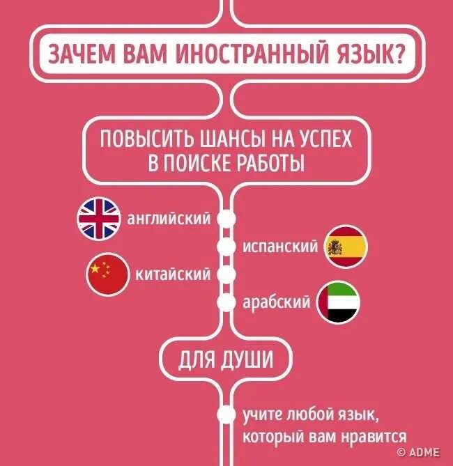 Какой учить второй язык. Какой язык выучить. инфографика иностранные языки. инфографика изучение иностранных языков. зачем изучать иностранные языки.