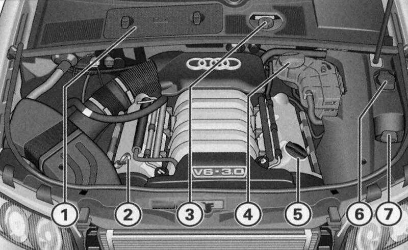 Как проверить масло ауди а4. Подкапотное пространство Audi a4 b6. Тормозная жидкость Ауди а6. Щуп Ауди а4 b8. Щуп Ауди а4 2012.