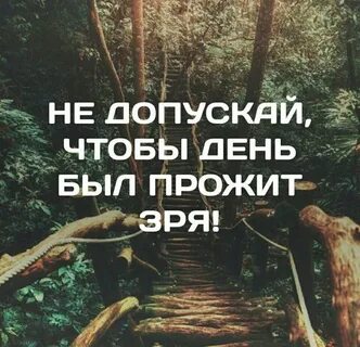 Какую жизнь считать прожитой не зря
