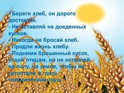 Слова всему голова