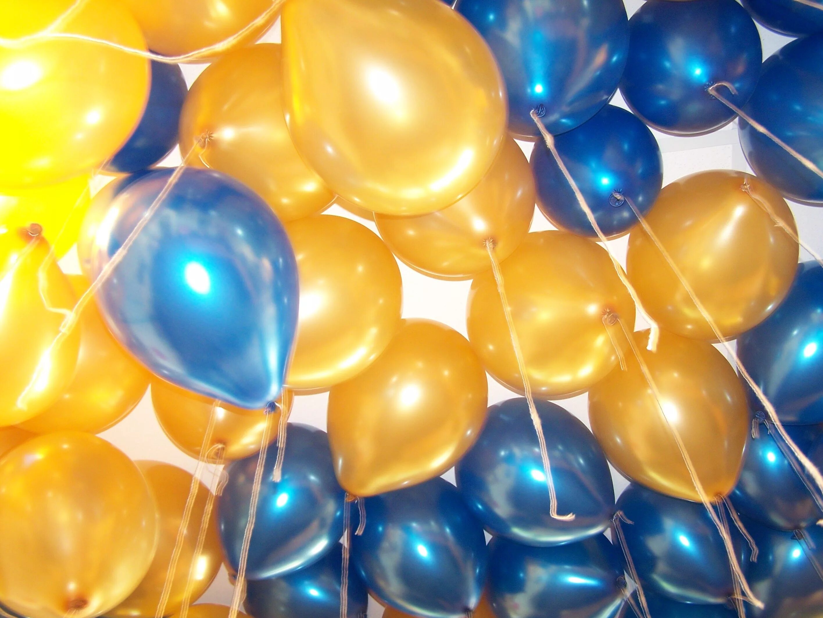 Сине золотые шары. Желтые шары. Золотистые шарики. Синие и золотые шары воздушные. Шары оранжевые и синие.