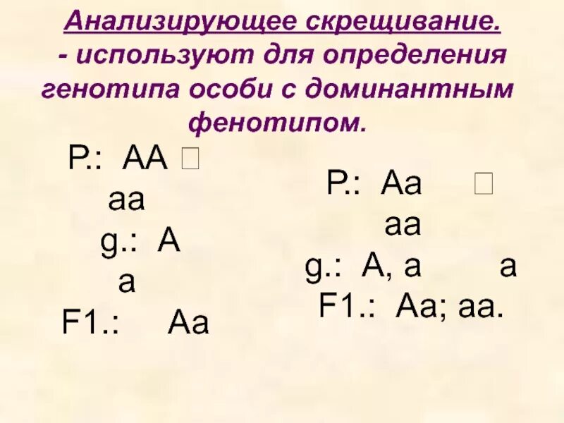 Анализирующим скрещиванием устанавливают генотип. Анализирующее скрещивание АА AA. Анализирующее скрещивание фенотип. Схема анализирующего скрещивания. Анализирующее скрещивание пример.