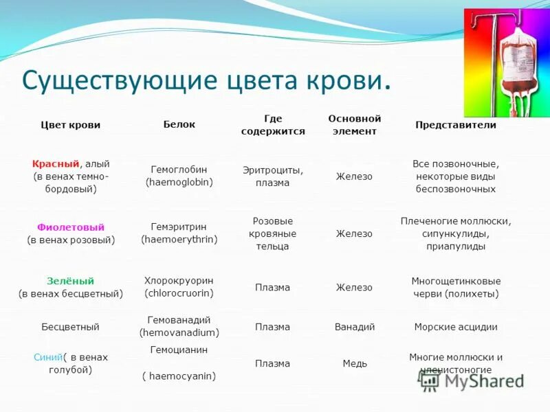 Есть ли слово кровь. Цвет крови. Какого цвета бывает кровь. Какого цвета кровь у человека. Типы крови по цвету.