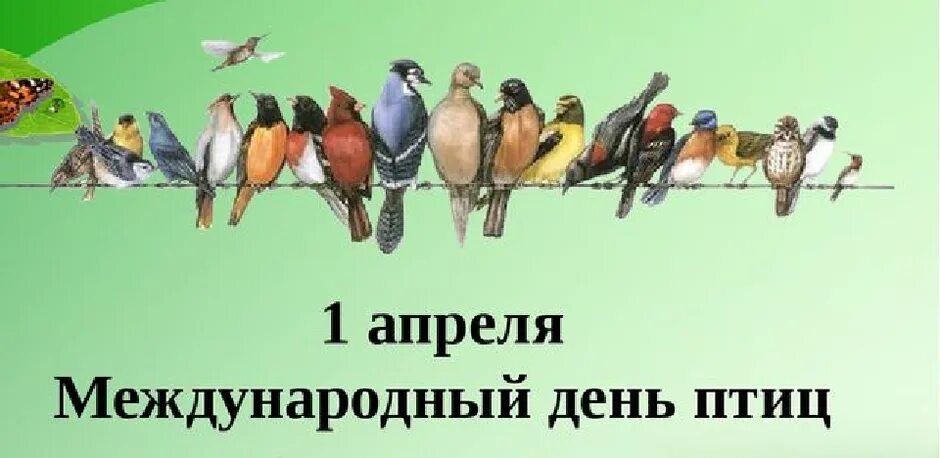 1 апреля международный день птиц в детском. Международный день птиц. 1 Апреля день птиц. Международный праздник птиц. Всемирный день птиц для детей.