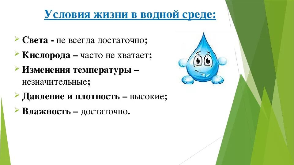 Условия среды в воде. Условия жизни в водной среде. Условия водной среды обитания. Водная среда условия среды. Среда обитания вода 5 класс биология