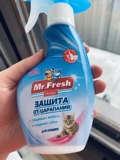 Mr fresher