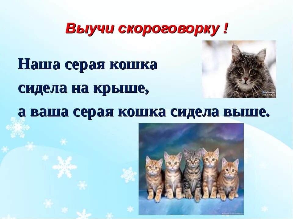 Загадка про кошку. Загадка про кошку для детей. Скороговорка про кота. Скороговорки про котов и кошек.