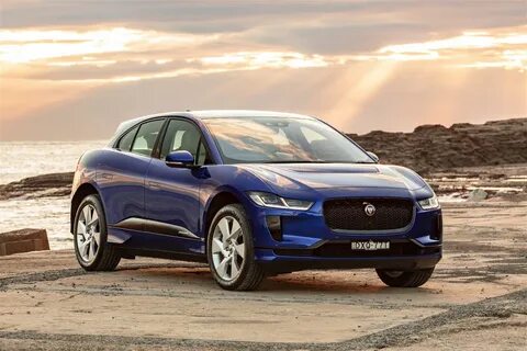 Jaguars 1