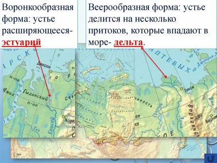 Формы устья рек