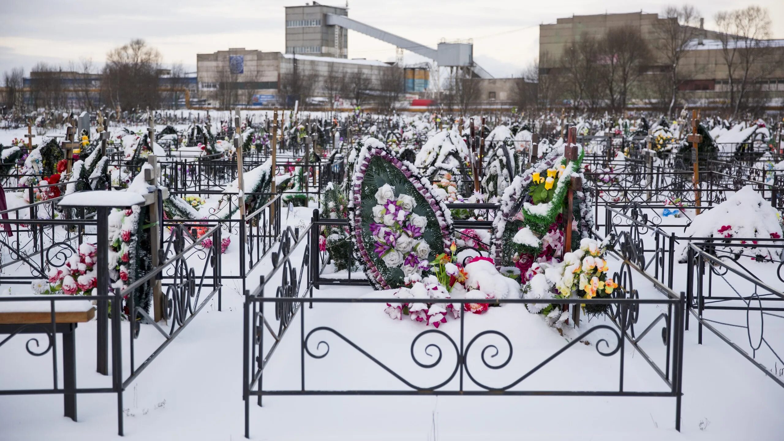 Похоронен в ярославле. Осташинское кладбище Ярославль. Осташинское кладбище Ярославль сектора. Ярославль Осташинское кладбище Осташинское кладбище.