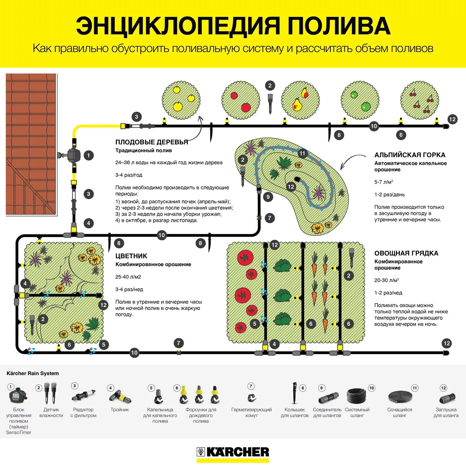 Количество воды для полива. Капельное орошение схема. Капельный полив деревьев и кустарников. Нормы полива деревьев и кустарников. Схема капельного полива на клумбе.