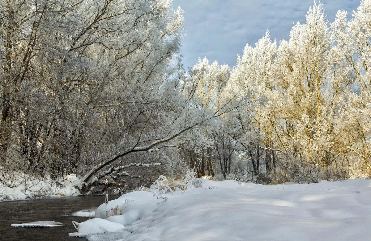 Зима в Оренбургской области. Оренбургская область зимой. Зима в Оренбуржье природа. Природа Оренбургской области зимой.