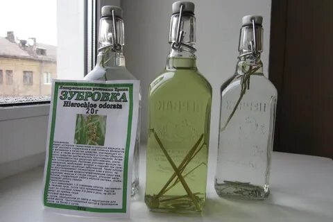 Настой зубровки