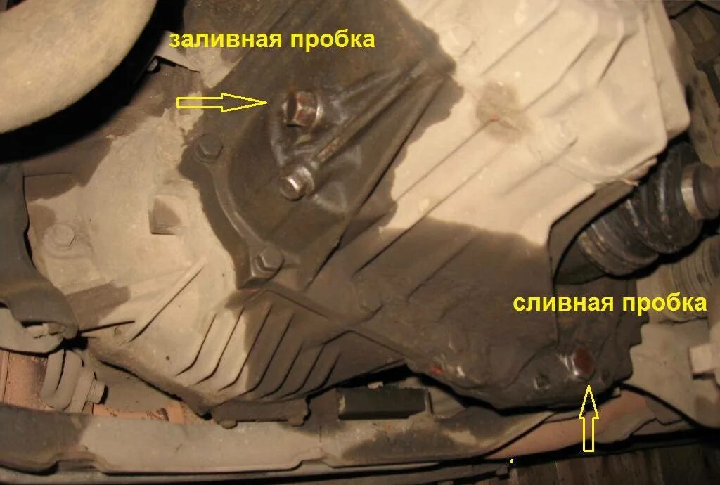 Как долить в мкпп. Заливная пробка королла 120. мазда 323 1989г заливная пробка мкпп. заливная пробка мкпп камри 2.4. тойота королла заливная пробка мкпп.
