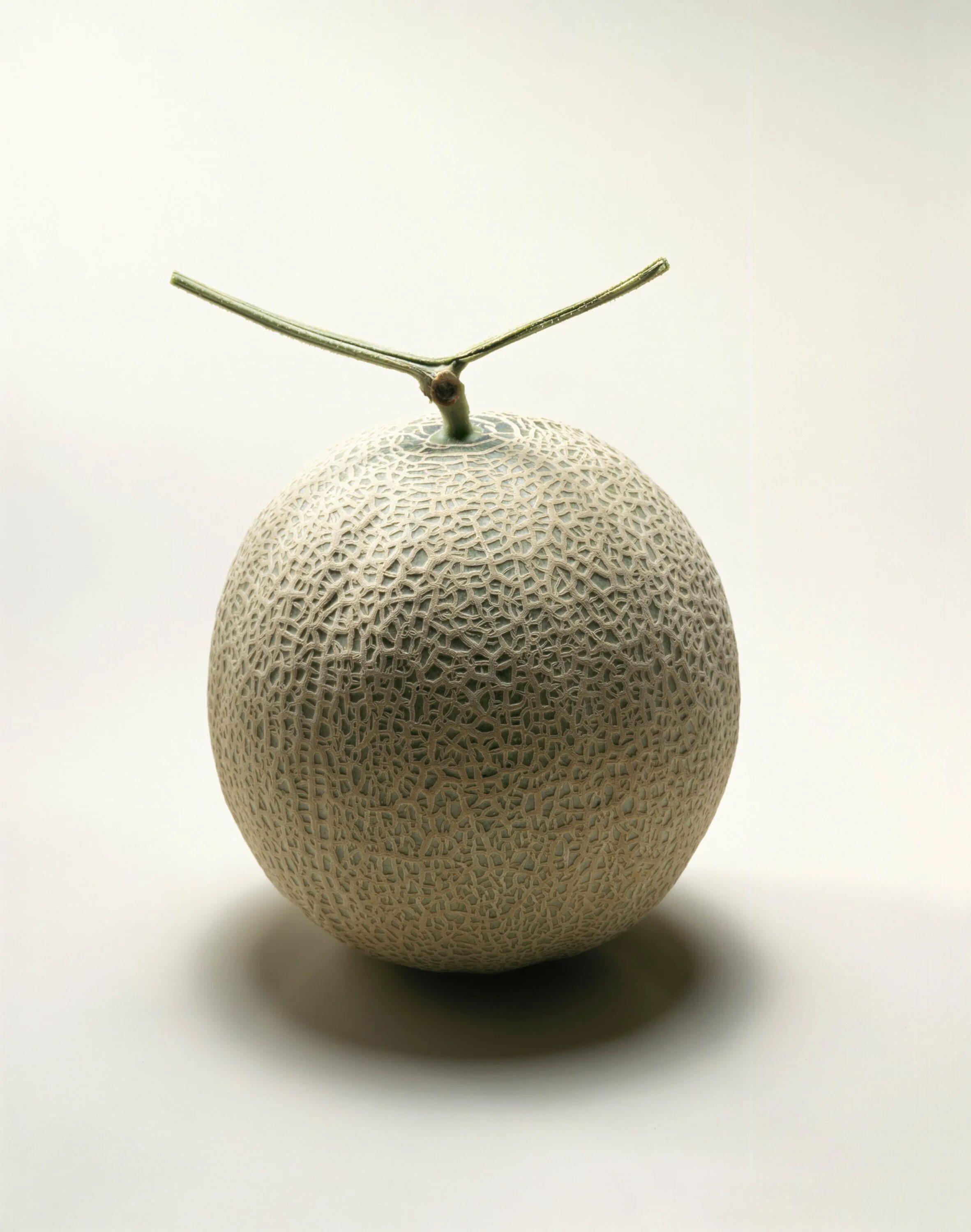 Дорогие дыня. Дыня юбари. Дыня юбари кинг. Дыня yubari. Японская дыня юбари.